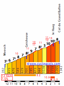 Concursito Tour de France 2023  GrandBallonW